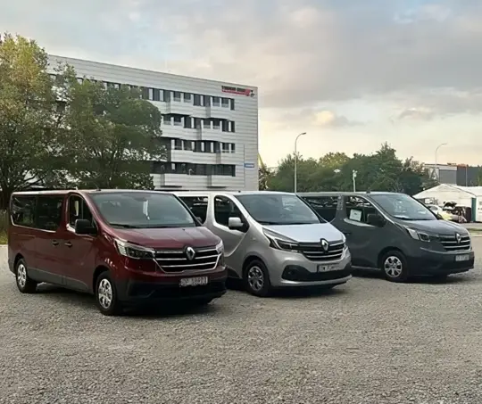 busy na zwirze